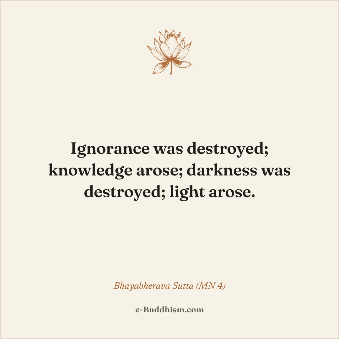 Shareable quote card: 'Ignorance was destroyed; knowledge arose; darkness was destroyed; light arose.' — Bhayabherava Sutta (MN 4).