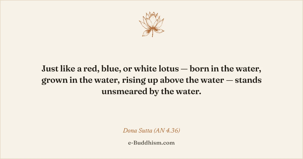 Sumi-e quote card: '…stands unsmeared by the water', the Buddha's lotus simile, Doṇa Sutta (AN 4.36).